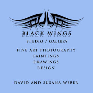 Black Wings Studio / Gallery